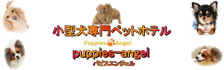 成田空港近辺のペットホテル・パピスエンジェル